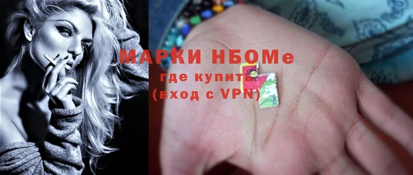 индика Волосово