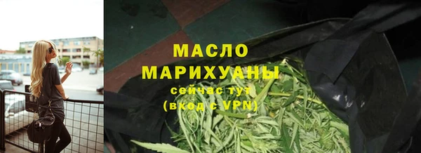 индика Волосово