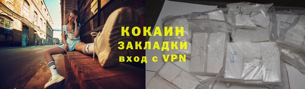 индика Волосово