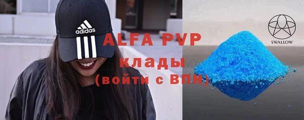 индика Волосово