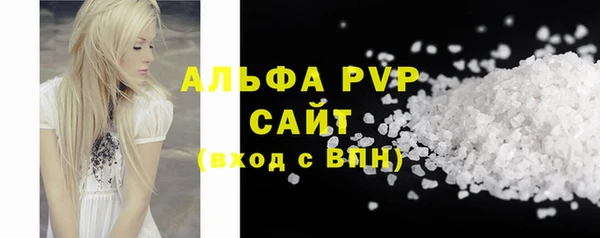 индика Волосово