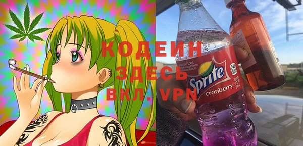 индика Волосово