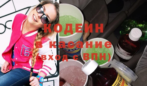 индика Волосово