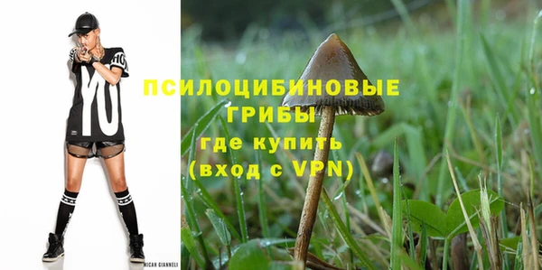 индика Волосово