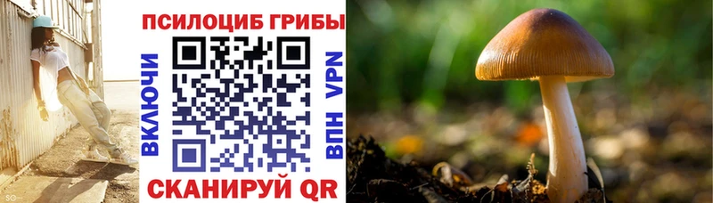 Галлюциногенные грибы мицелий  мега сайт  Поворино 